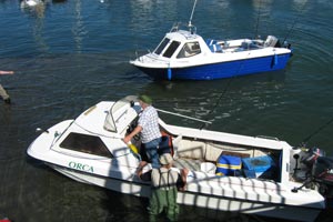 Kilmore Quay Shore Fishing