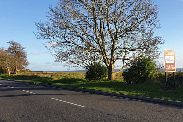 Blackrock Wetlands