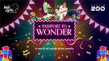 Nine zones. Countless moments of wonder. One unforgettable night.