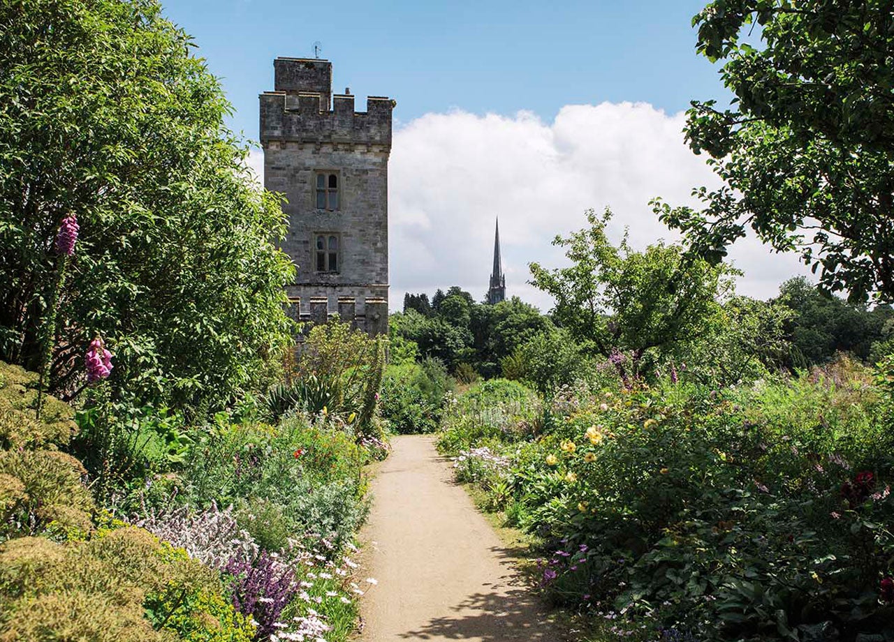 Flowers by the sides of a foot path leading to Lismore Castle