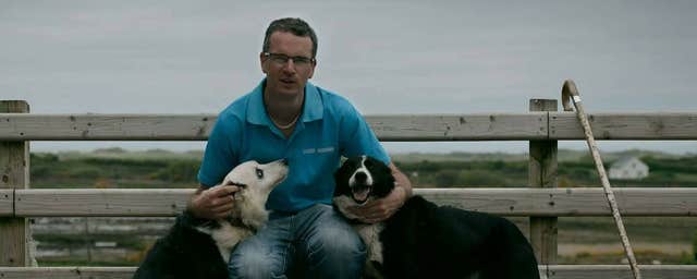 Atlantic Sheepdogs
