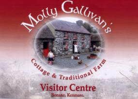 Molly Gallivan's Cottage and Traditional Farm
