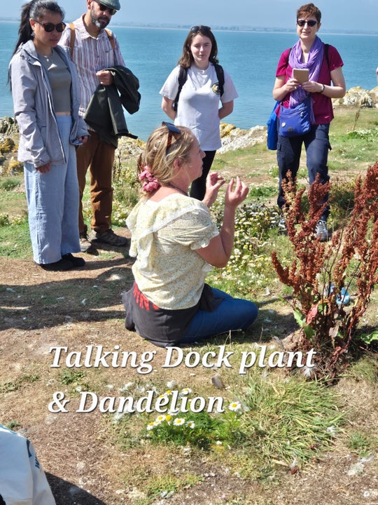 Foraging Tour on Ireland's Eye, Howth Co. Dublin - a woman seated on the ground talking about a plant to group of 4 people standing around her, near a cliff edge.