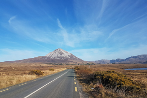 Wild N Happy Travel