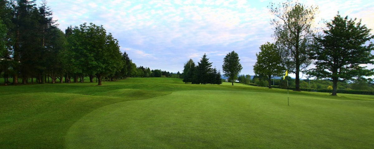 A view of the tenth green at Ballybofey and Stranorlar Golf Club with trees and a cloudy blue sky