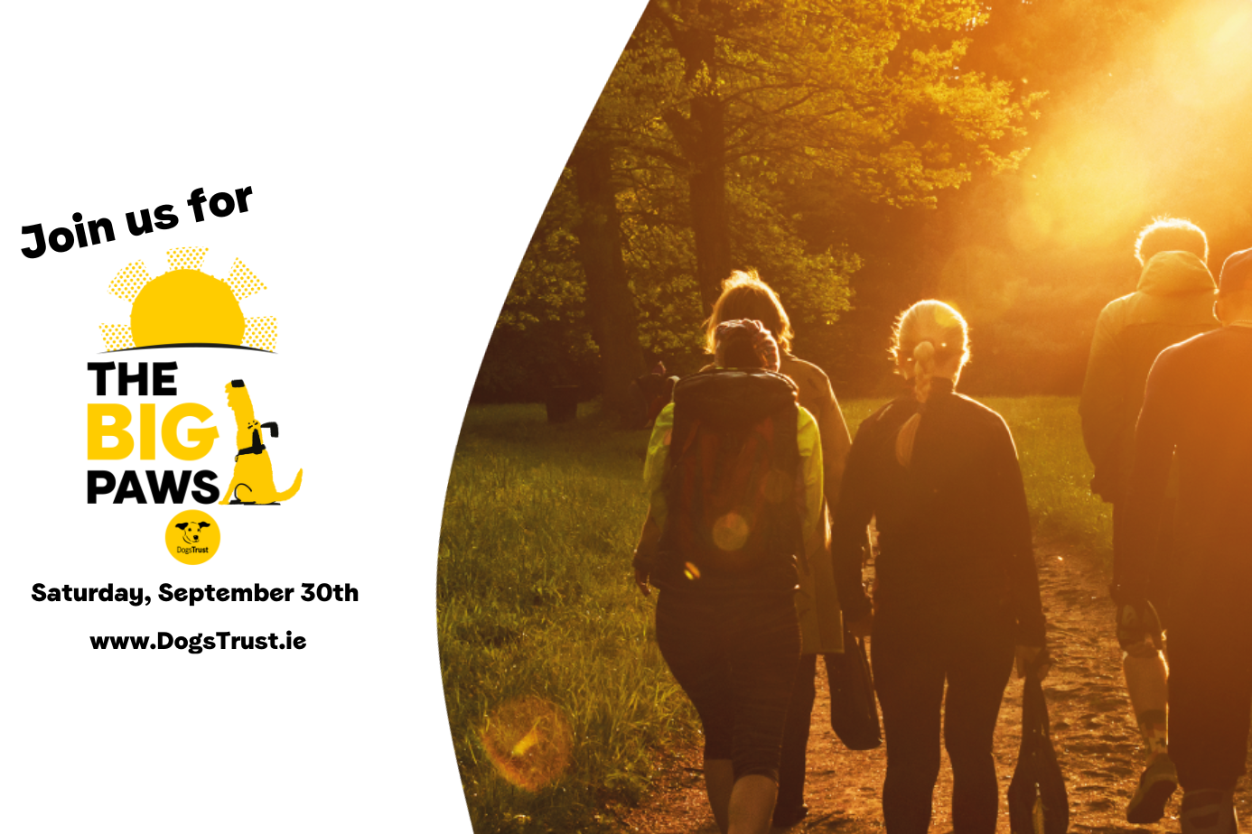 The Big Paws- Dog Walk 2023