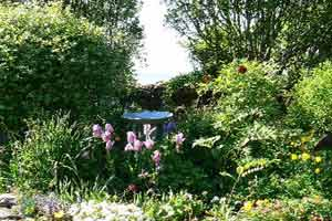 Secret Gardens Sligo