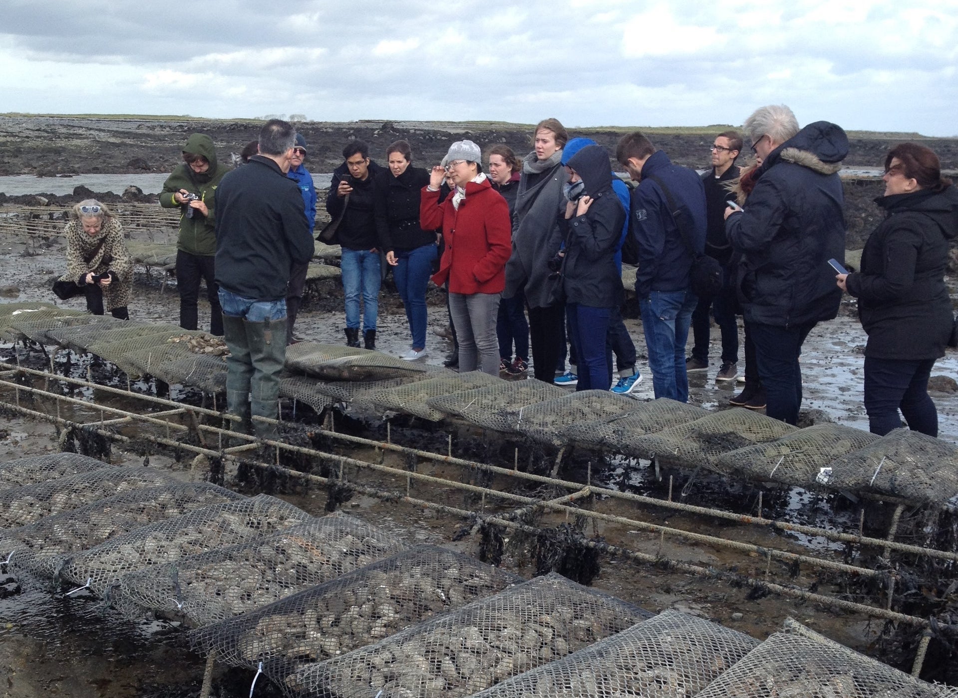 Group of people on a tour standing next to oyster beds with fields and the sea in the background