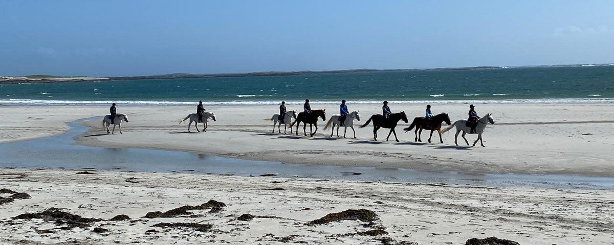 A beach ride with The Point Pony Trekking and Horse Riding