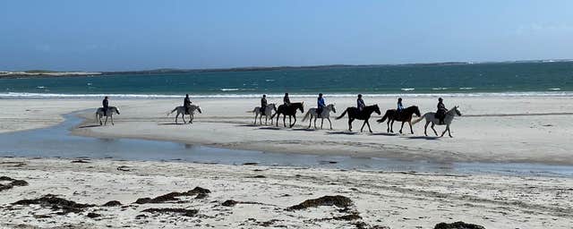 The Point Pony Trekking and Horse Riding