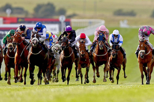 Goresbridge Horse Sales