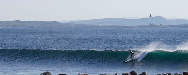 Narosa Surf School