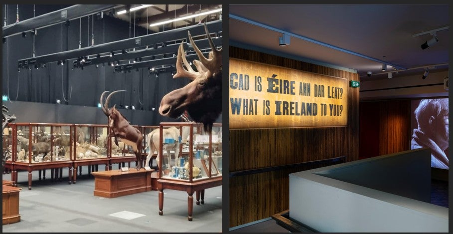 Composition of the Dead Zoo Lab and Changing Ireland Galleries