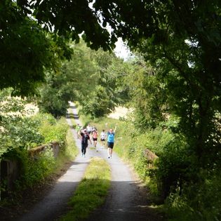 A grou[ of people on a country road are walking towards shady trees in the foreground.