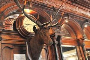 The Stag's Head