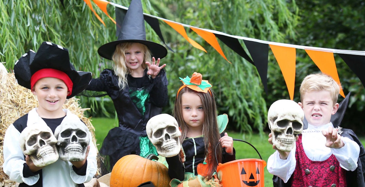 Explore the Tricky Trail at Emerald Park.