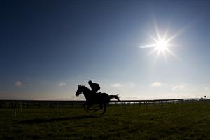 Tattersalls Bloodstock Auctioneers