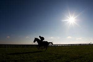 Tattersalls Ireland Bloodstock Auctioneers