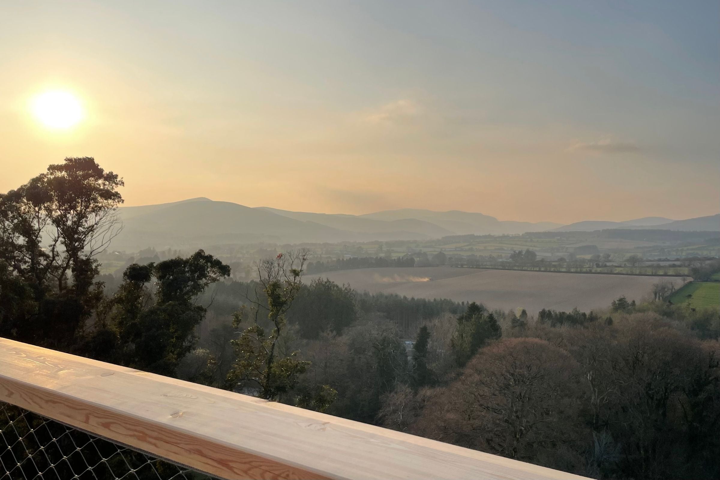 Talk in the views in Avondale Forest Park.