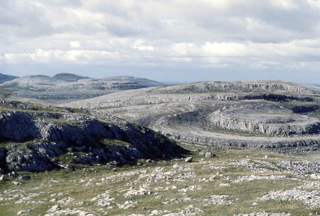 Gordon D'Arcy Guided Burren Tours