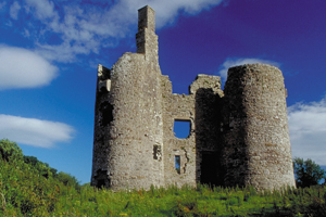 Image of Ballinfad Castle