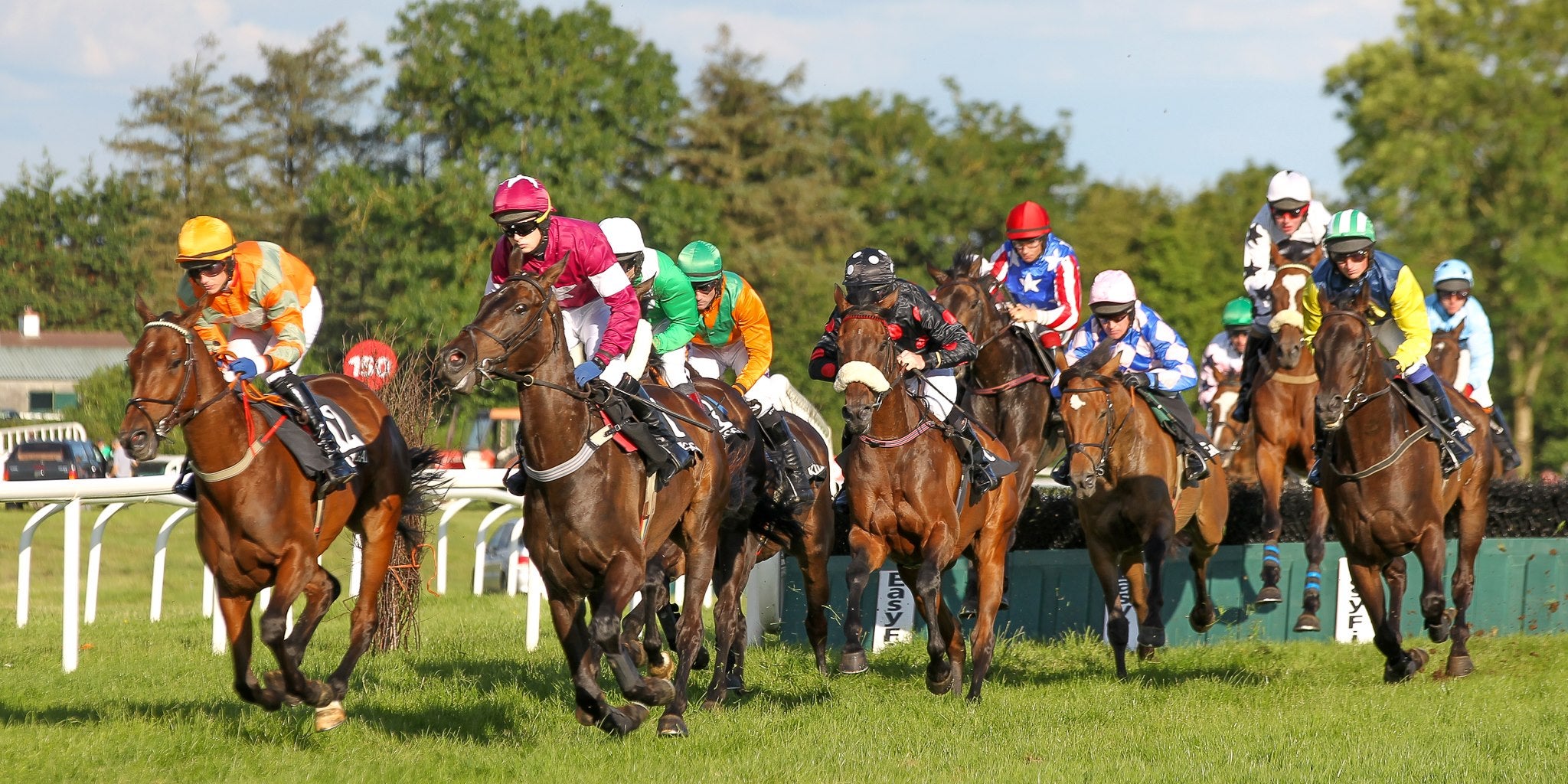A race in progress with lots of brown horses with colourful jockeys
