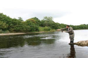 Mount Falcon Fisheries