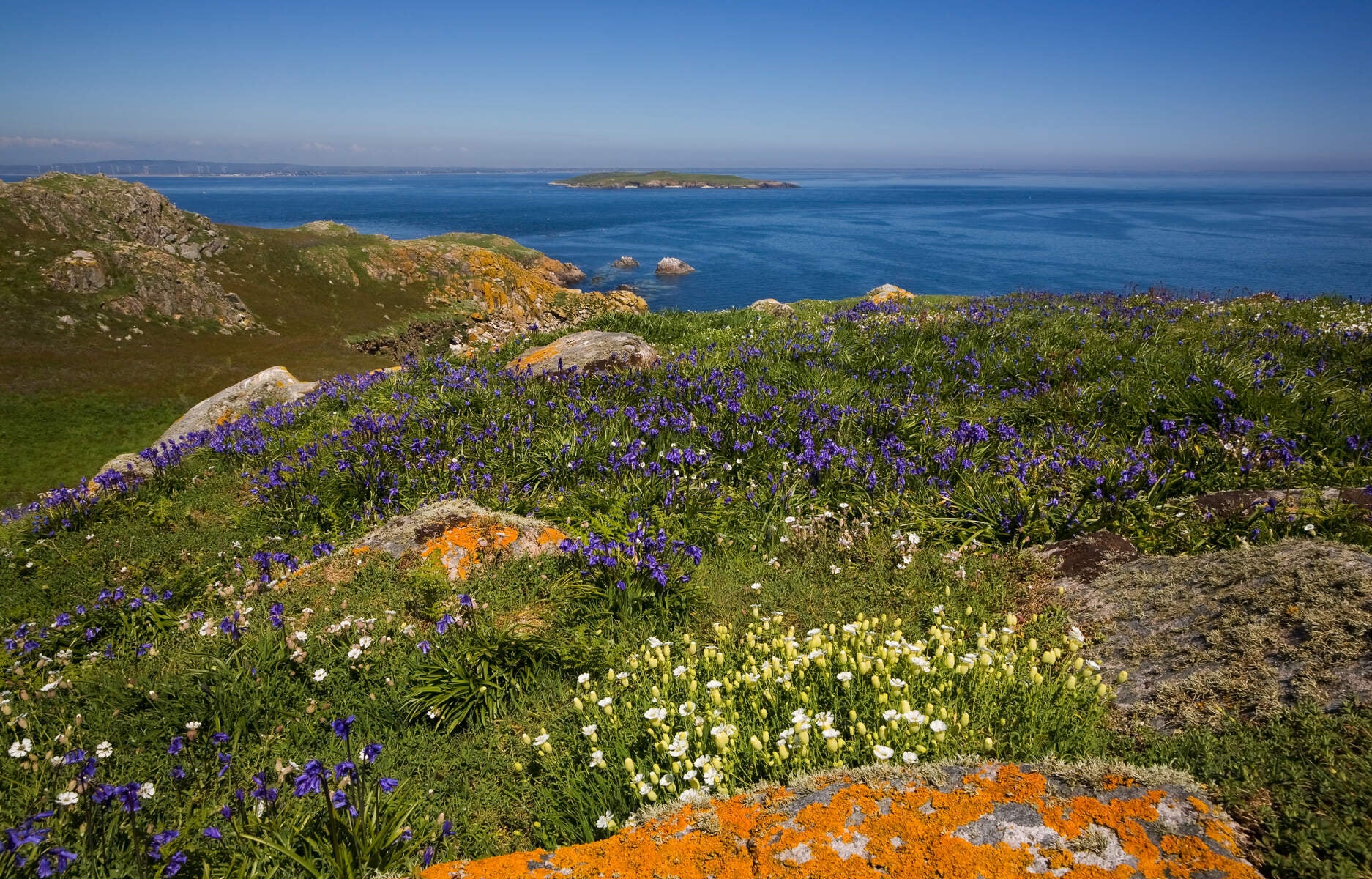 Flora and rocks with sea and an island in the background
