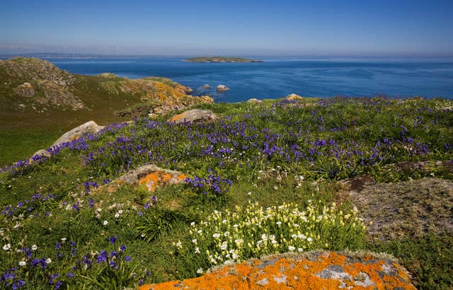 Saltee Islands