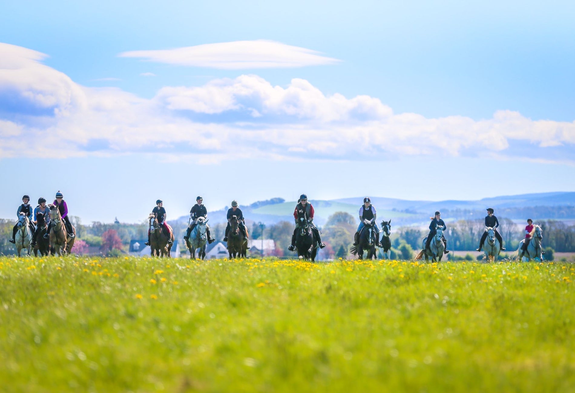 Group of horse riders crossing a green meadow under a bright blue sky
