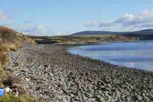 Whiddy Island View