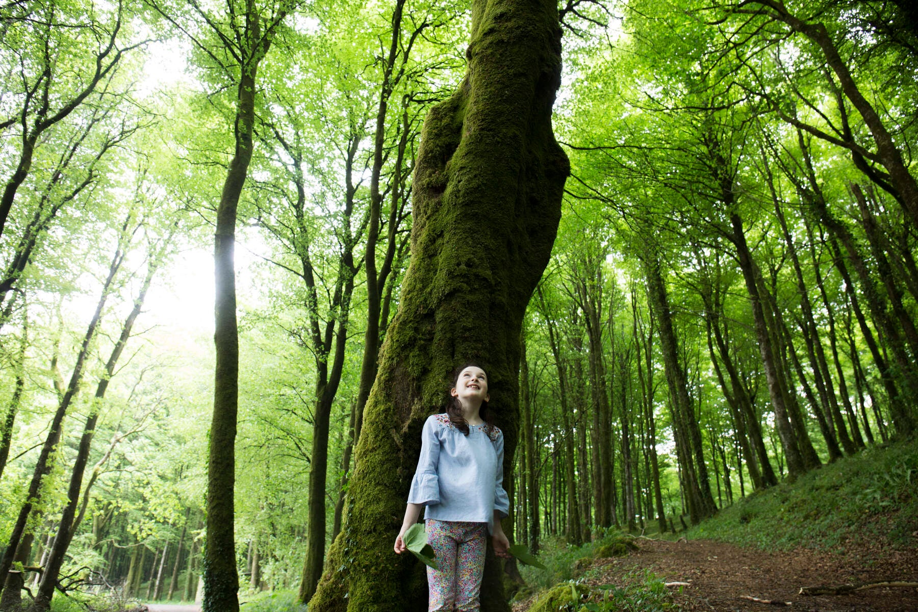 Appreciate the quiet in Mullaghmeen Forest.