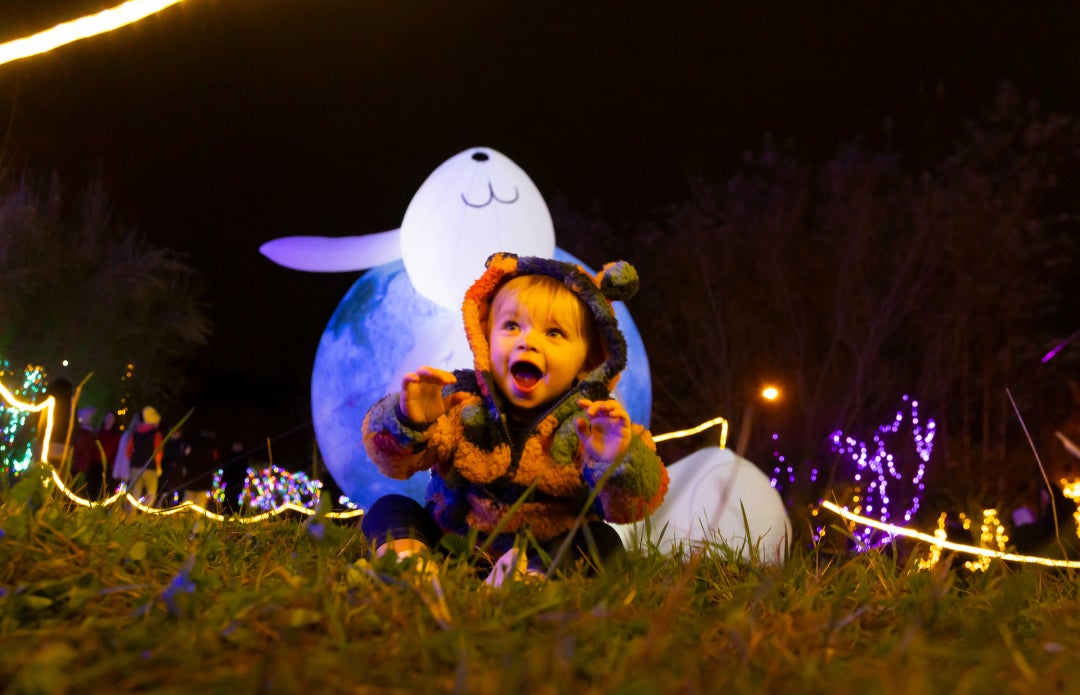 GLOW - WINTERVAL FAIRYLIGHT GARDEN