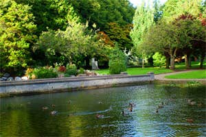 Fitzgerald's Park
