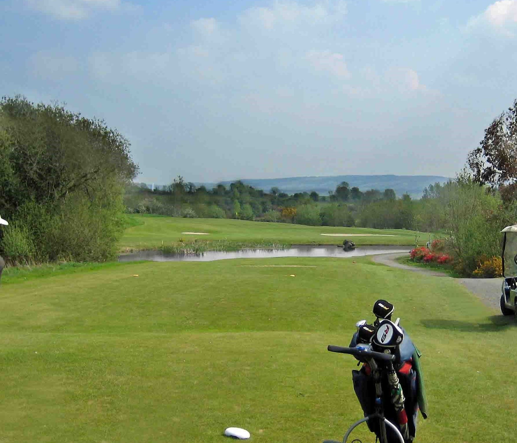 Golf clubs on a golf green with a lake two bunkers and trees in the background