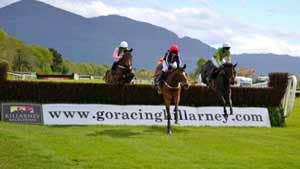Visit Killarney Racecourse with Discover Ireland