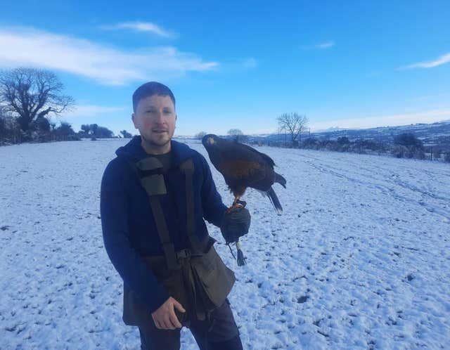 Faha Falconry Killarney