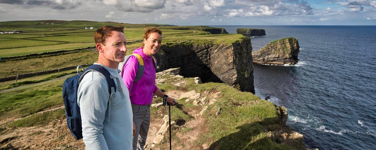 The Loop Head Flying Alpaca Tour with About Ireland Taxi Tours