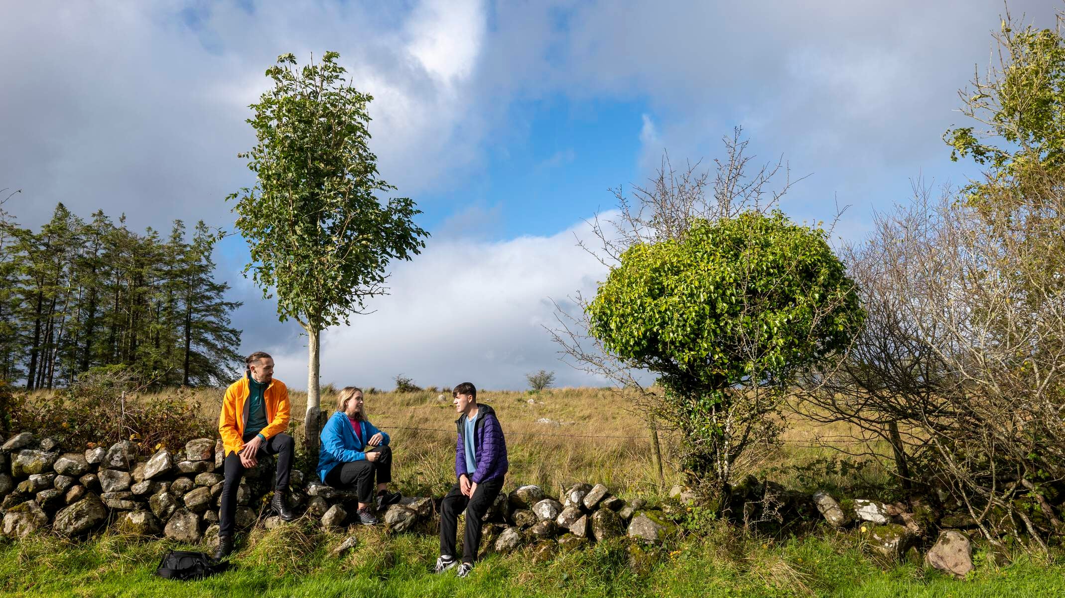 Three adult friends sitting on a rock fence in Cavan.