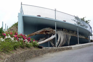 Kilbrittain Whale