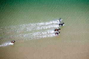 The Westport Woods Hotel & Spa - Go Trekking!