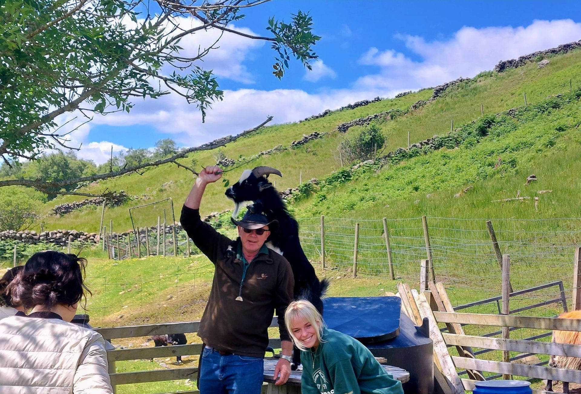 A couple smile at the camera as a goat playfully climbs behind them