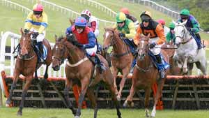 Tramore Racing Visit Waterford & Tramore Racecourse with Discover Ireland