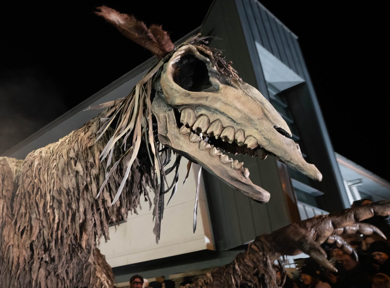 Púca Festival 2025 - Púca Procession, a large puppet of a creature with big teethed skull and brown, shaggy body.