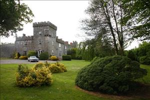 Fanningstown Castle