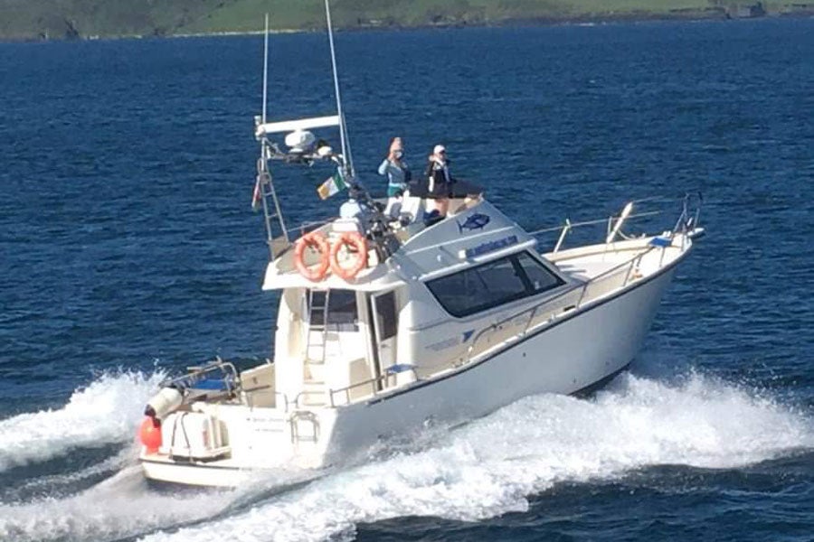 Bluefin Tuna Fishing Charters - West Cork Charters