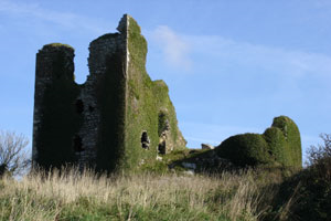 Dunhill Castle-