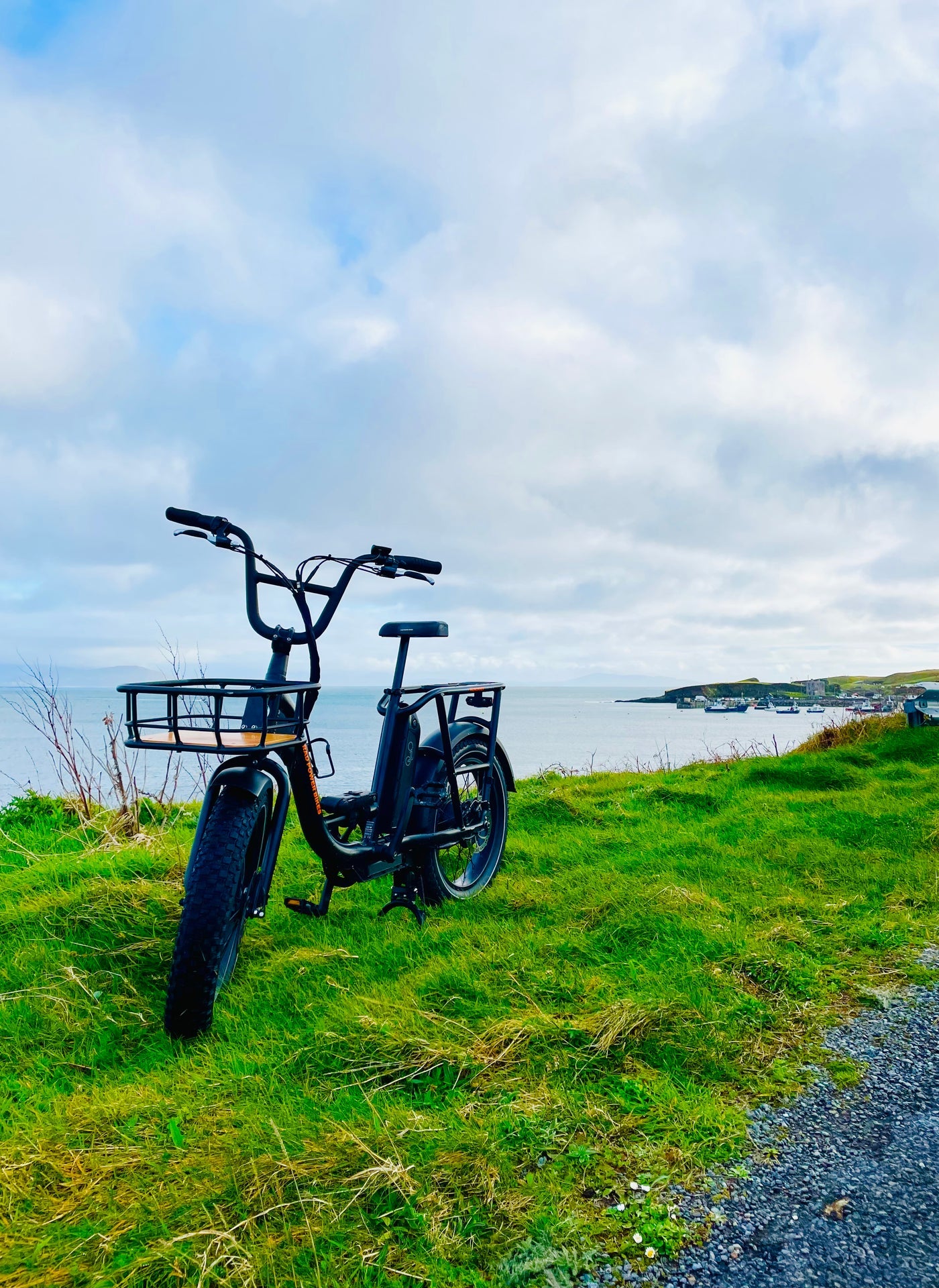 An ebike parked on grass beside the coast