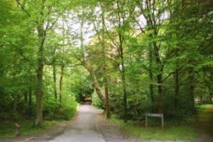 Coole Park Visitor Centre & Gardens