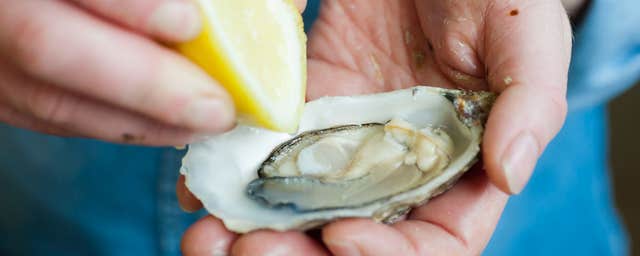 Flaggy Shore Oysters